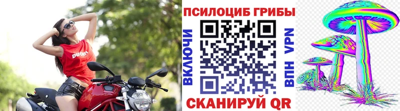 Псилоцибиновые грибы Psilocybine cubensis  Узловая 
