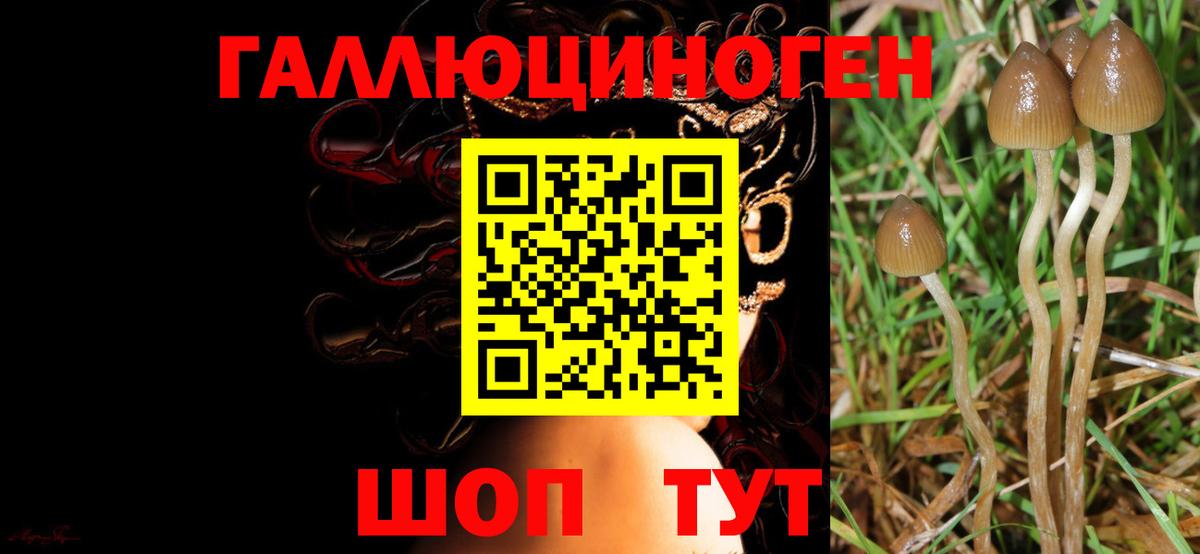 Галлюциногенные грибы Magic Shrooms Узловая