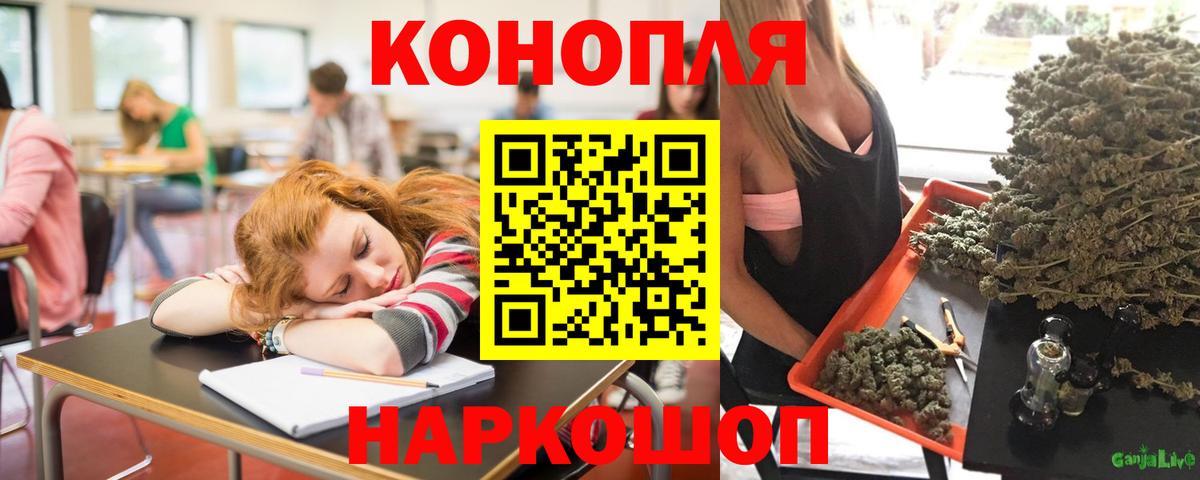 Каннабис MAZAR Узловая